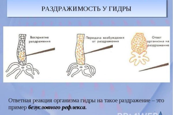 Блекспрут нет