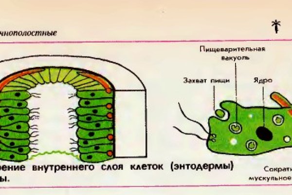 Зайти на блекспрут 1blacksprut me