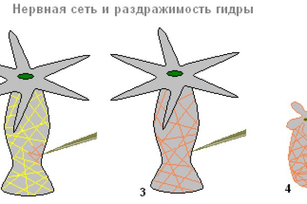 Блэк спрут зеркало bsconnect co