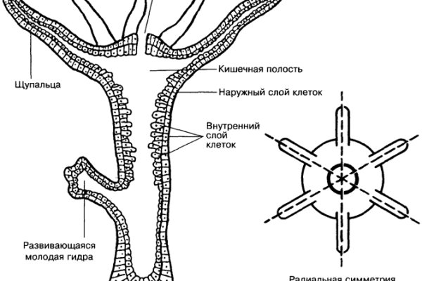 Ссылка на блекспрут blacksprut adress com