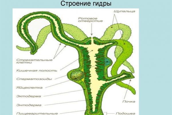 Вывод средств с блэк спрут