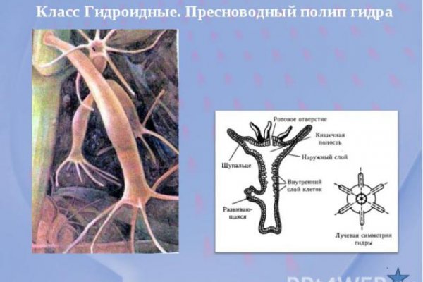 Сайт blacksprut на торе ссылка