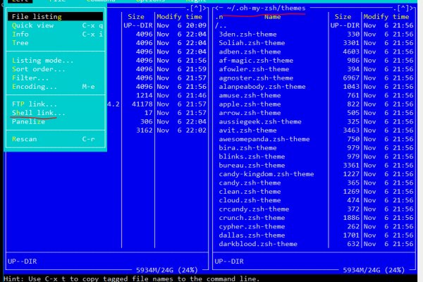 Gl blacksprut cam bs2web top